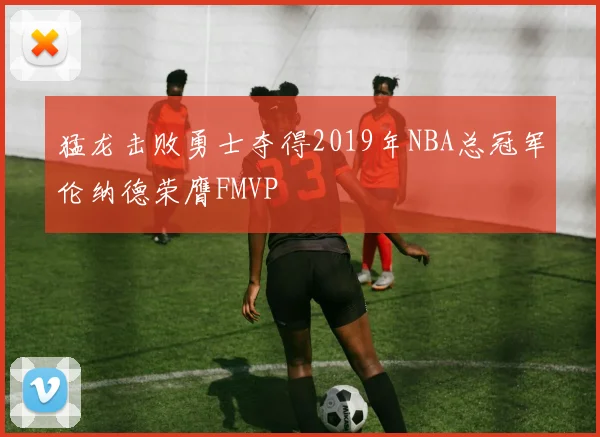 猛龙击败勇士夺得2019年NBA总冠军伦纳德荣膺FMVP