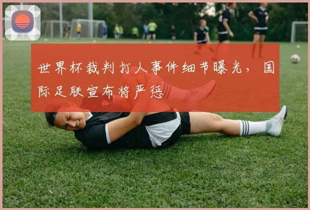 世界杯裁判打人事件细节曝光,国际足联宣布将严惩