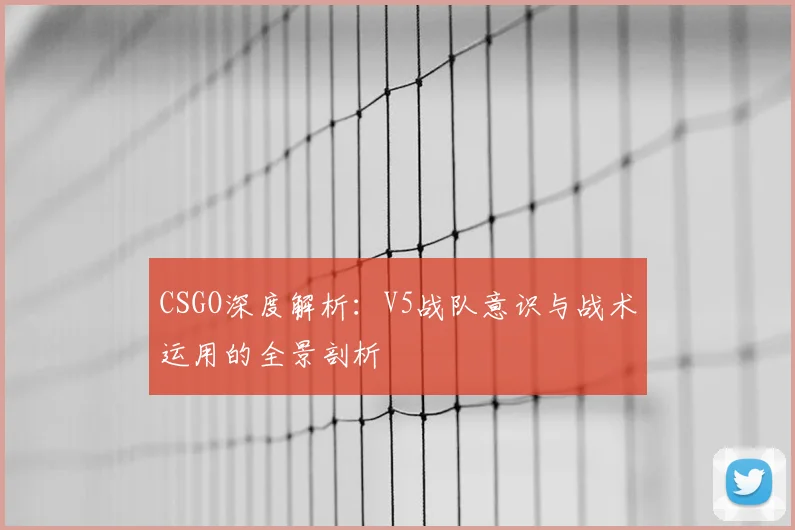 CSGO深度解析：V5战队意识与战术运用的全景剖析
