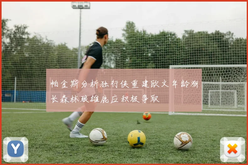 帕金斯分析独行侠重建欧文年龄渐长森林狼雄鹿应积极争取