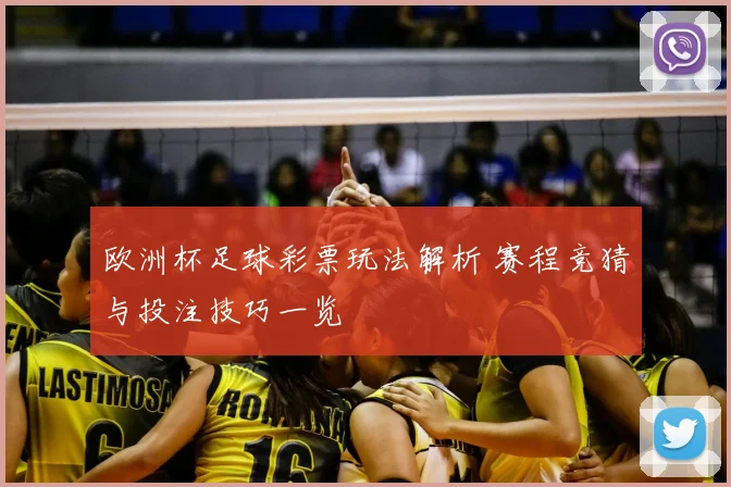 欧洲杯足球彩票玩法解析 赛程竞猜与投注技巧一览