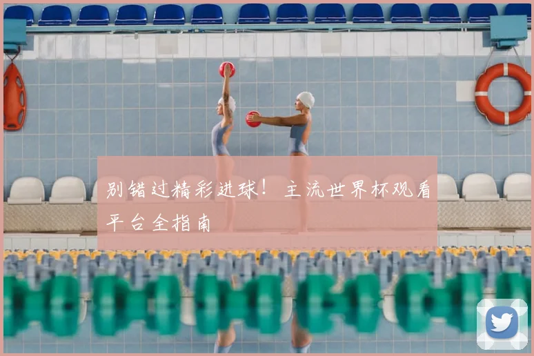 别错过精彩进球!主流世界杯观看平台全指南