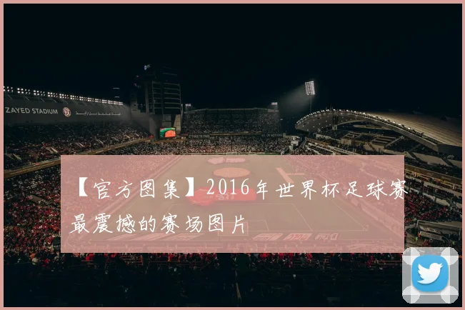 【官方图集】2016年世界杯足球赛最震撼的赛场图片