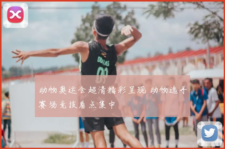 动物奥运会超清精彩呈现 动物选手赛场竞技看点集中