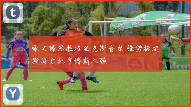 张之臻完胜格里克斯普尔 强势挺进斯海尔托亨博斯八强