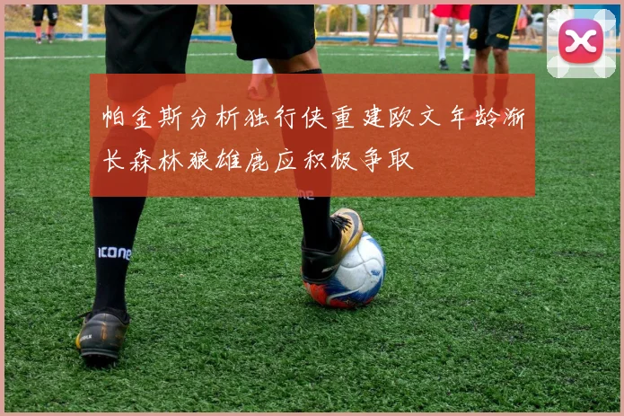 帕金斯分析独行侠重建欧文年龄渐长森林狼雄鹿应积极争取