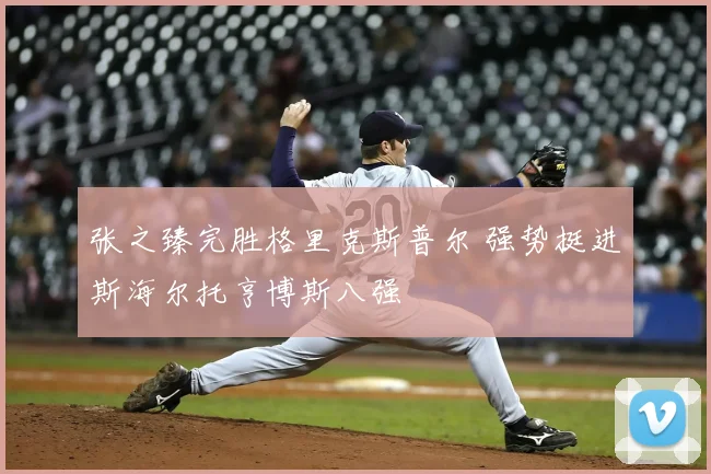 张之臻完胜格里克斯普尔 强势挺进斯海尔托亨博斯八强