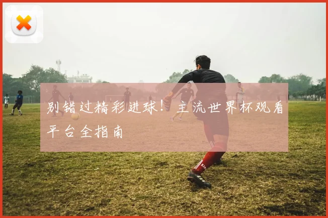 别错过精彩进球!主流世界杯观看平台全指南
