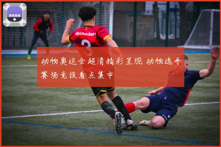动物奥运会超清精彩呈现 动物选手赛场竞技看点集中