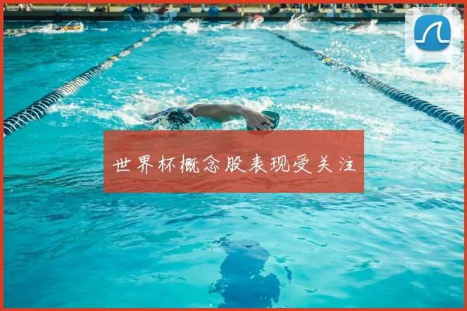 世界杯概念股表现受关注