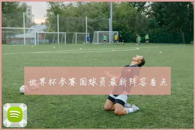 世界杯参赛国球员最新阵容看点