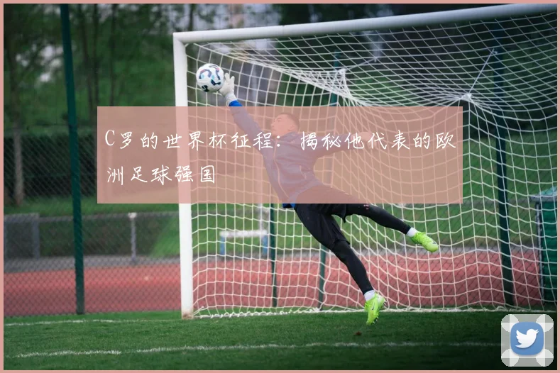 C罗的世界杯征程:揭秘他代表的欧洲足球强国