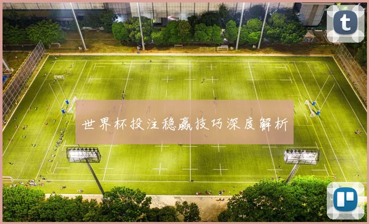世界杯投注稳赢技巧深度解析