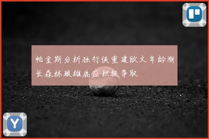 帕金斯分析独行侠重建欧文年龄渐长森林狼雄鹿应积极争取