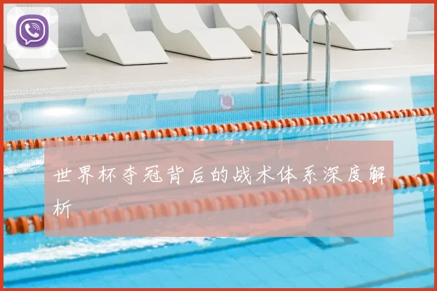 世界杯夺冠背后的战术体系深度解析